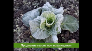 Система подогрева грунта в теплицах Green Box AGRO